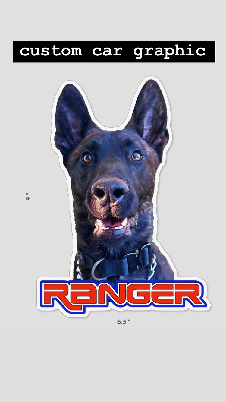 Custom K9 Vehicle Decals for K9 Unit, SAR, Police Dog, Law Enforcement & Working Dogs