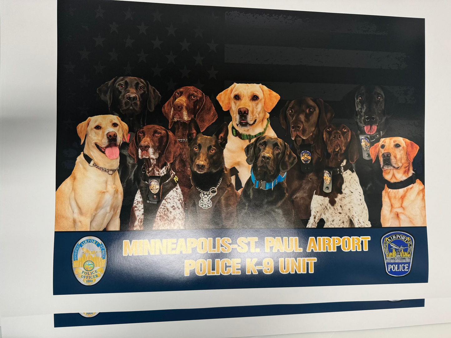 K9 Unit Posters