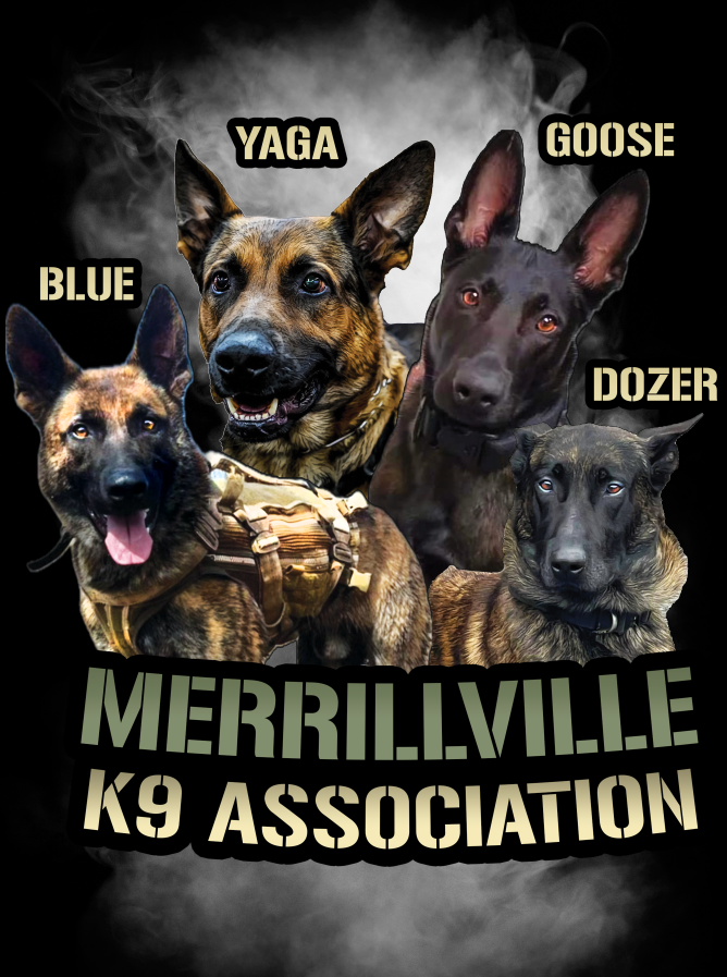 K9 Unit Posters