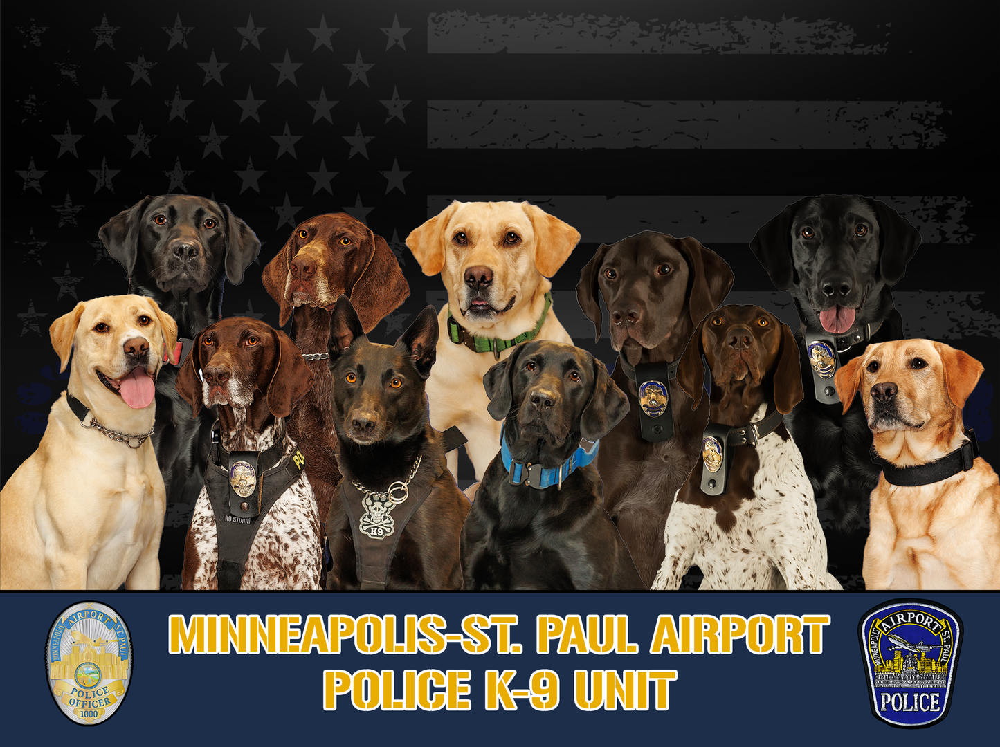 K9 Unit Posters