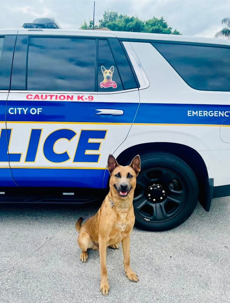 Custom K9 Vehicle Decals for K9 Unit, SAR, Police Dog, Law Enforcement ...